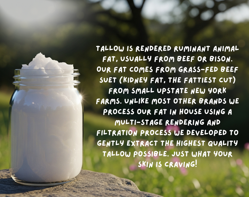 what is tallow?